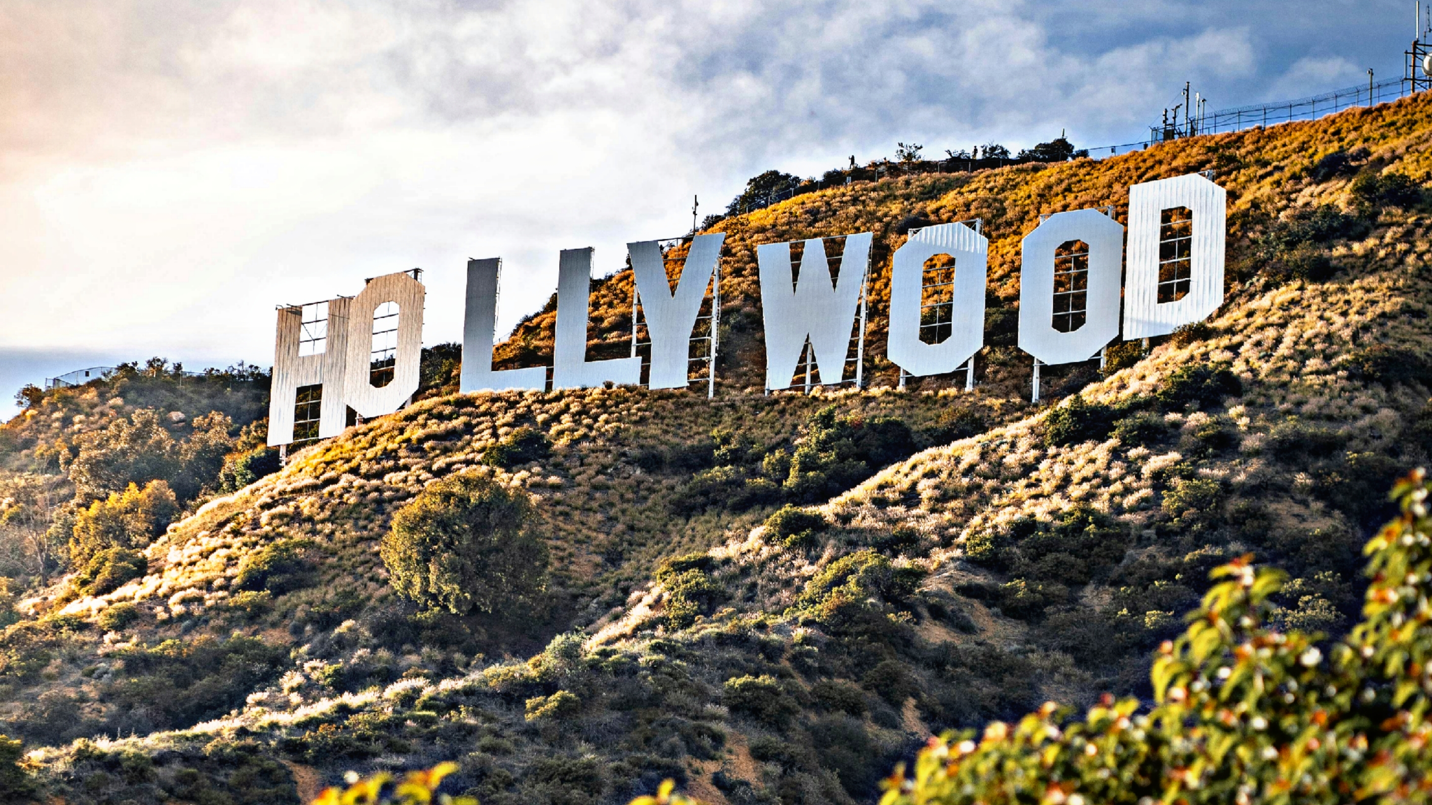 California Los Angeles