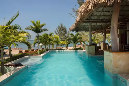 Little Harvest Caye, photo 3