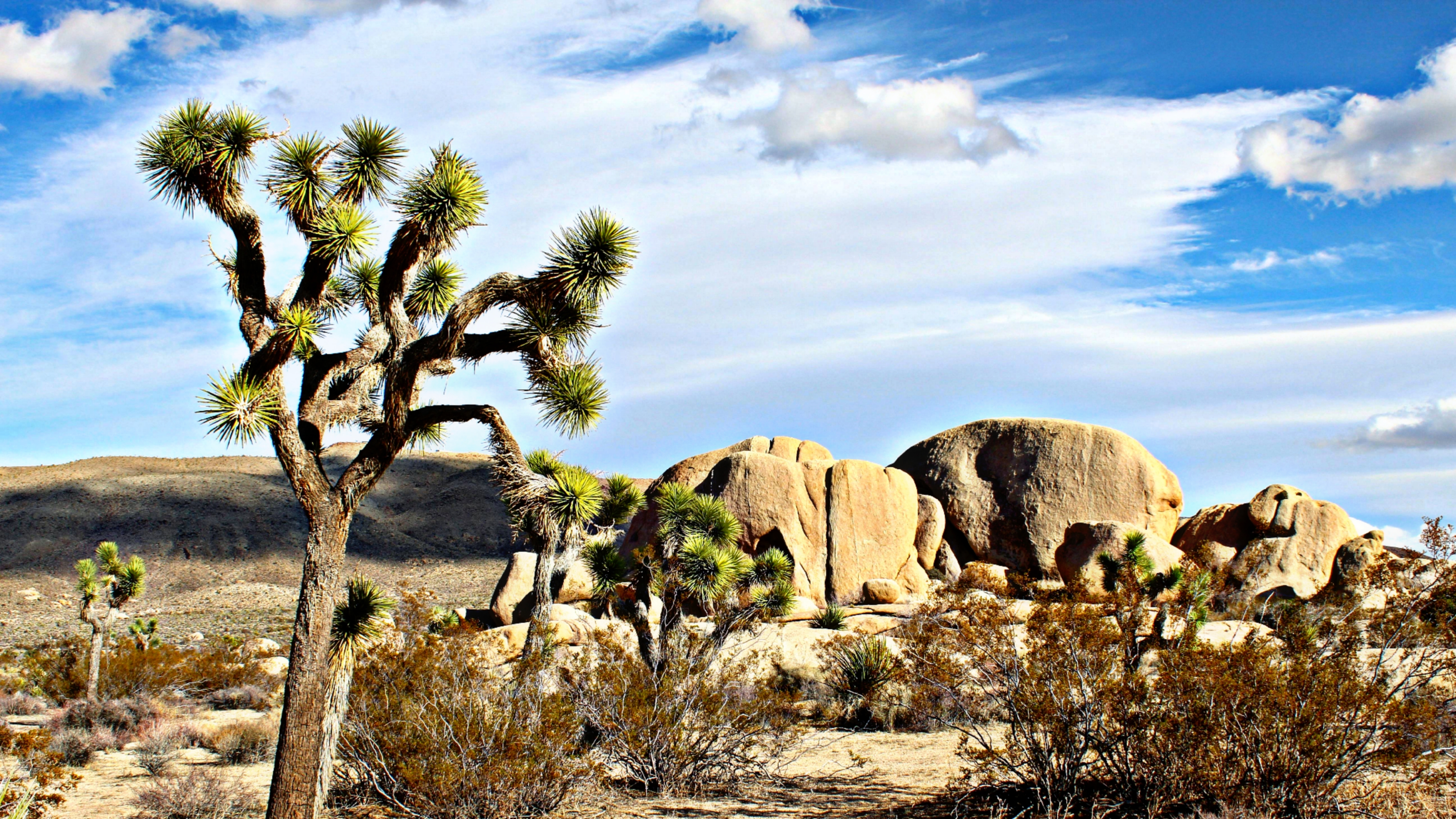 California (Coachella Valley)