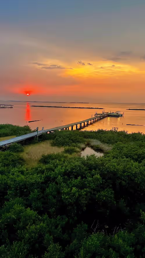 Majestic bayfront home. 450 pier w/ boat access, crabbing, fishing, & swimming, photo 4