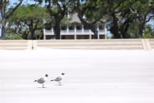 20 Oaks Beautiful location and home on the Beach, photo 5