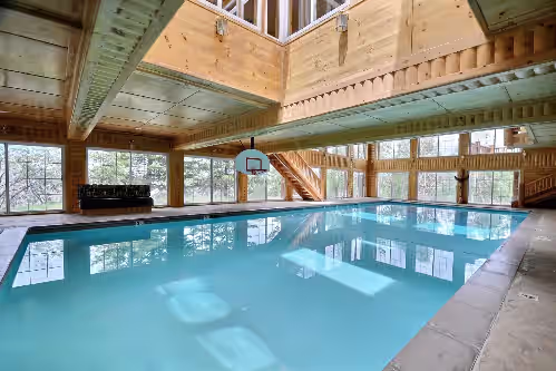 Timber Moose: America's Biggest Log Cabin, photo 3